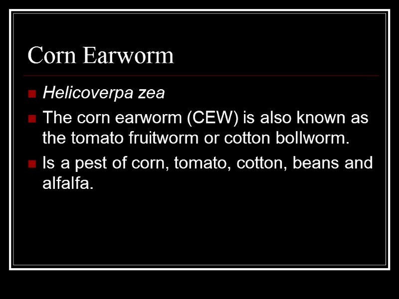 Corn Earworm Helicoverpa zea The corn earworm (CEW) is also known as the tomato